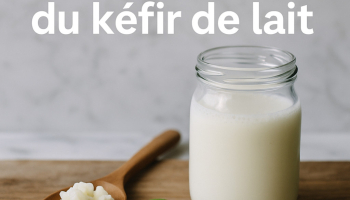 Guide ultime du kéfir de lait