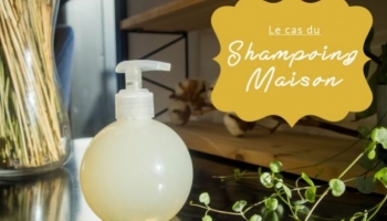 Comment fabriquer son shampoing avec des huiles essentielles à la maison ?